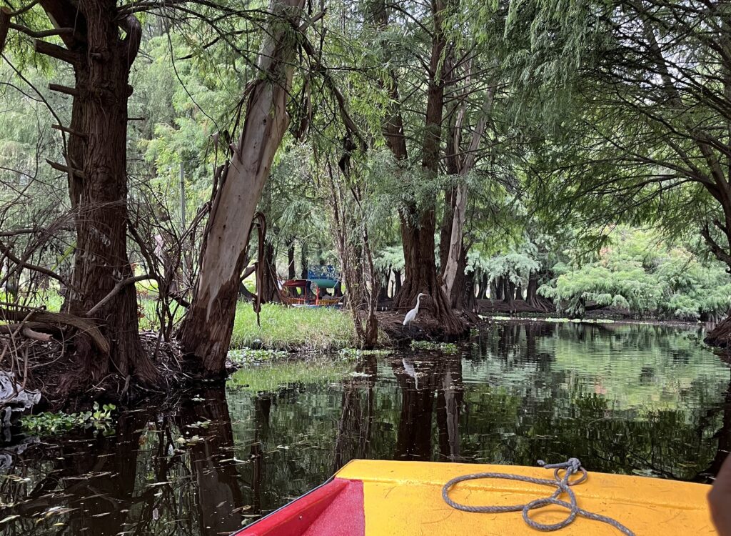 the lagoons of Xochimilco- jungly venice