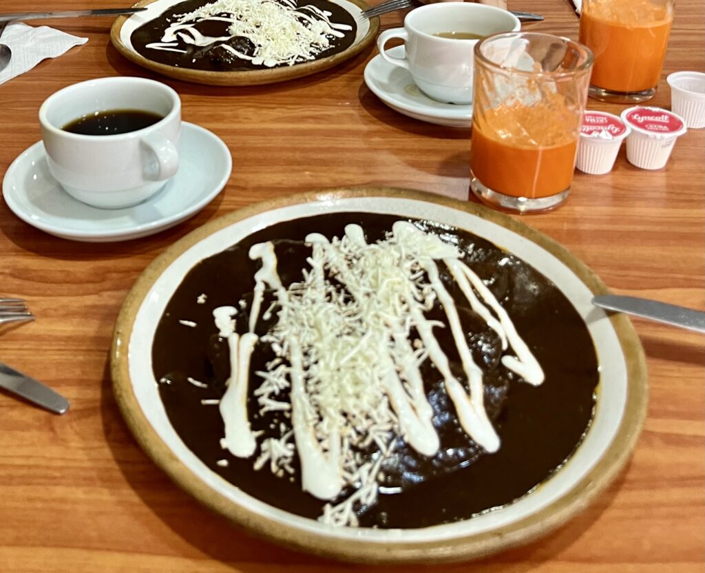 a dish of enmoladas, covered in mole sauce, with white stuff on top. Classic Mexican food.